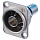 NEUTRIK NBB75DFI ��������� ������ BNC-HD 75��